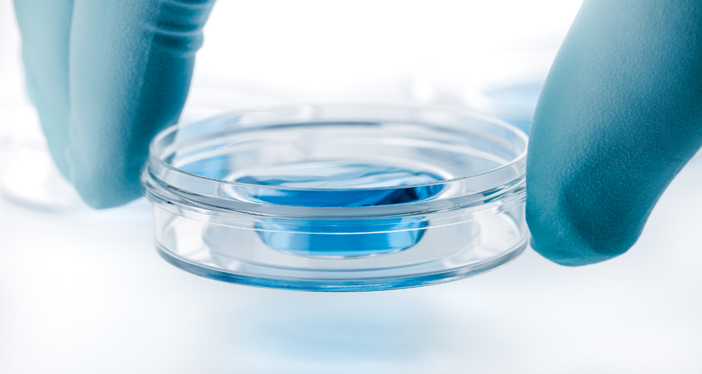 In vitro Diagnostic Biocellis